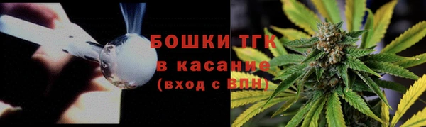 гашик Алексеевка