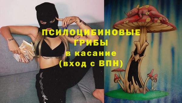 тгк Абинск