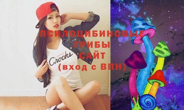 тгк Абинск