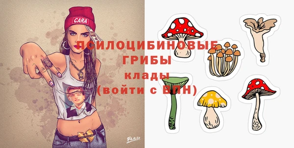тгк Абинск