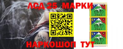 гидропоника Ставрополь