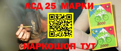 гидропоника Ставрополь