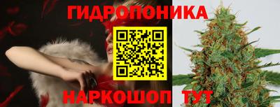 гидропоника Ставрополь