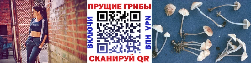Псилоцибиновые грибы MAGIC MUSHROOMS  Ухта 