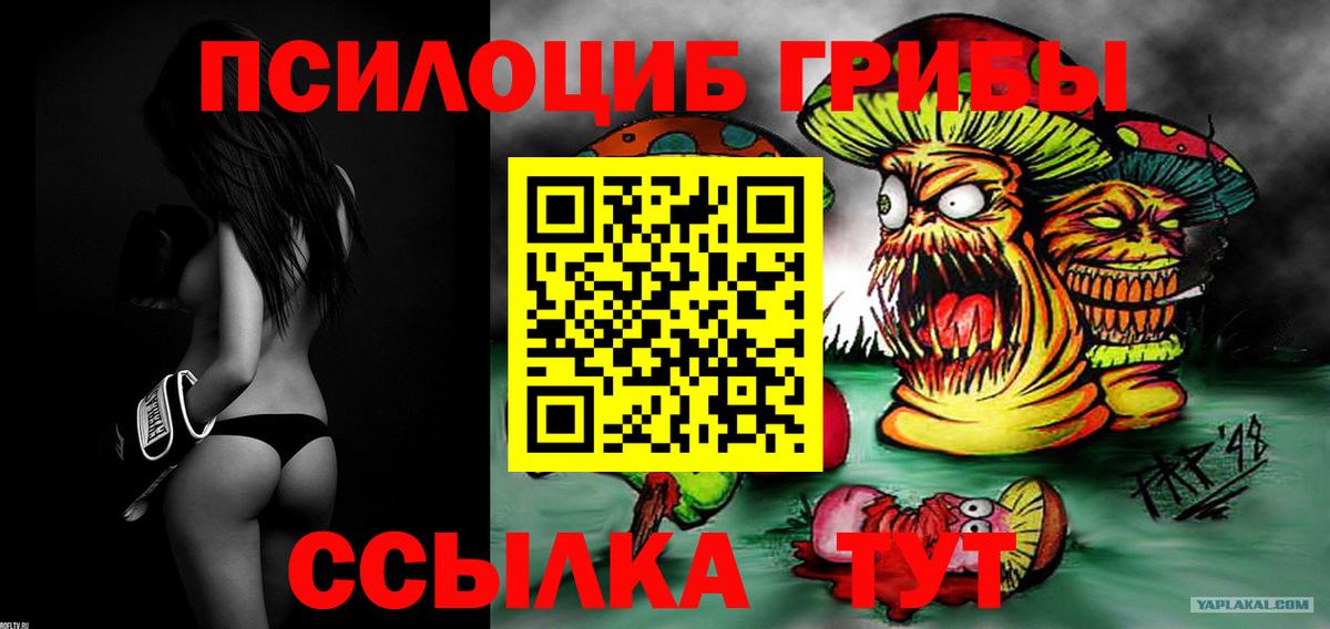 Псилоцибиновые грибы GOLDEN TEACHER  Вход с VPN  Ухта 